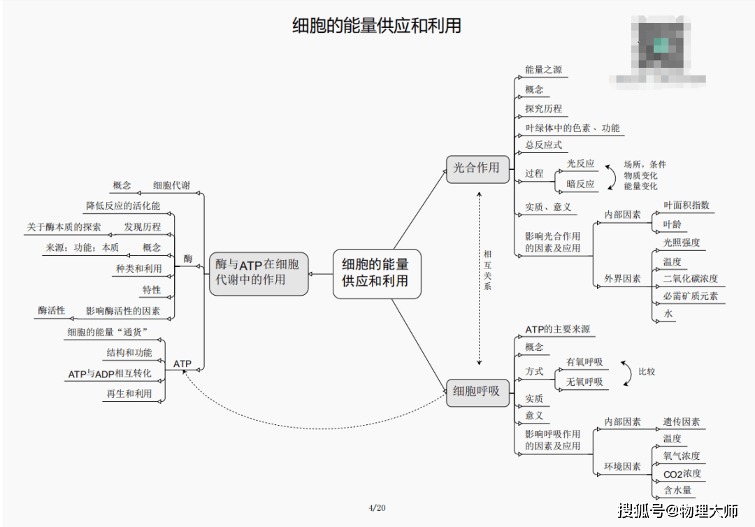 白小姐三肖三期必出一期开奖,警惕白小姐三肖三期必出一期开奖——揭露背后的风险与犯罪问题