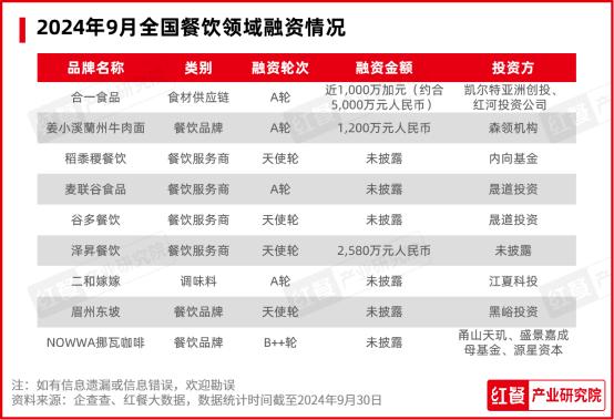 新澳2024年精准资料,新澳2024年精准资料概览