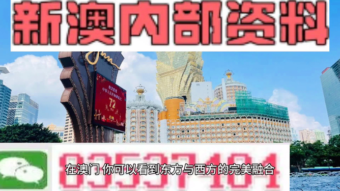 2025新澳免费资料澳门钱庄,探索未来，2025新澳免费资料与澳门钱庄的发展之路