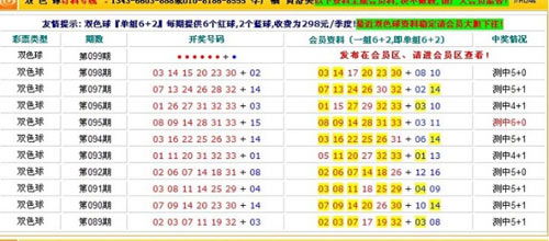 2025年香港港六+彩开奖号码,探索未来彩票奥秘，香港港六彩票开奖号码预测（2025年展望）