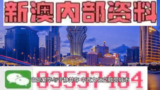 新港澳门免费资料长期公开,新港澳门免费资料长期公开，探索与启示